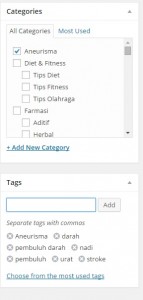 Editor NEW 3.5 Categori Tag