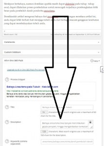 Editor NEW 3.5 Meta Description AIO 2